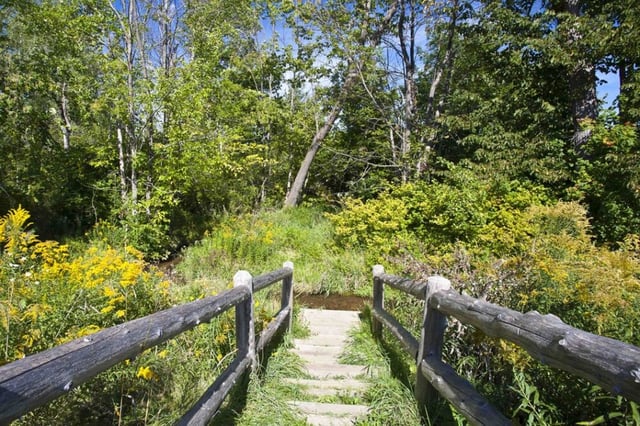 Kid's Creek Park4