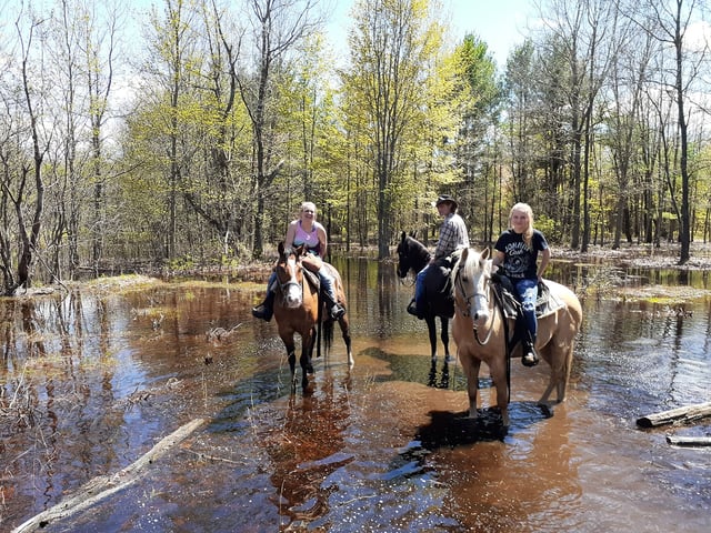 Wild West Ranch LLC8