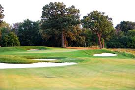 The Preserve at Oak Meadows 4.jpeg