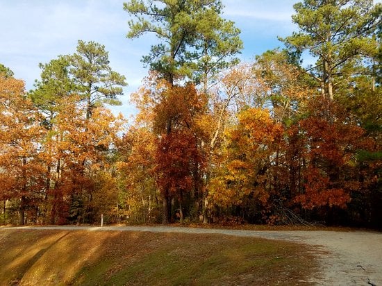 Lake Rim Park