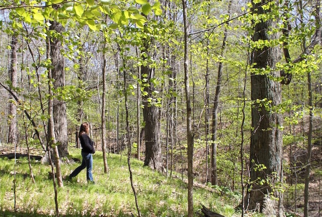 Wau-Ke-Na, William Erby Smith Preserve8