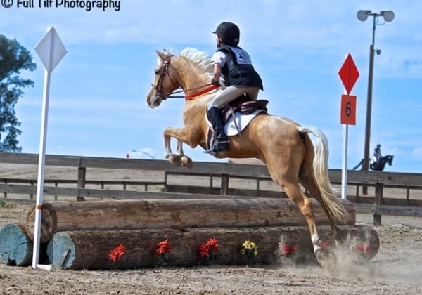 Fresno County Horse Park9