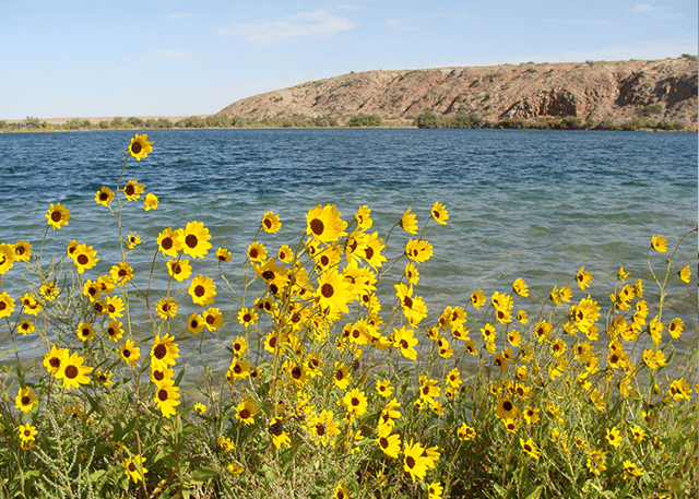 Bottomless Lakes State Park 5