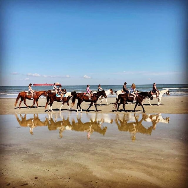 Galveston Horse and Pony Rides7