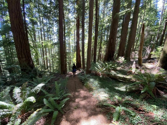 Cummins Creek Trail12