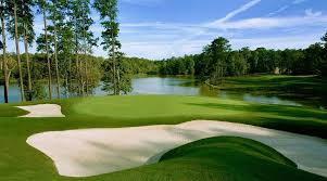 Echelon Golf Club 5