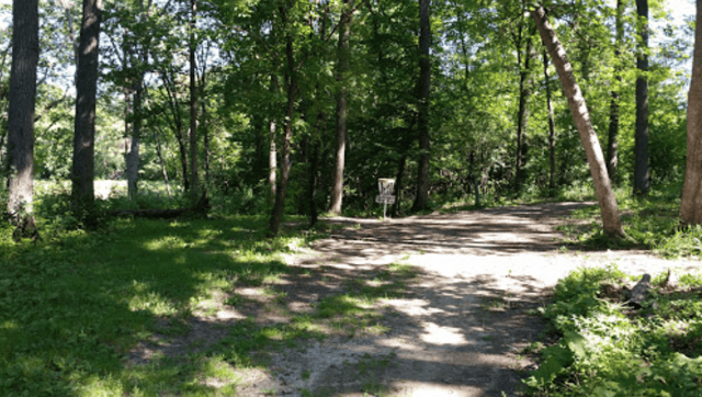Alimagnet Lake Park  2