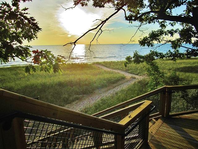 olive shores 2