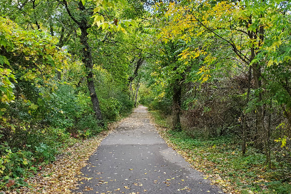 parkers woods 5