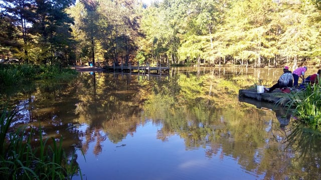 Richard Fleming Park-Cross Lake4
