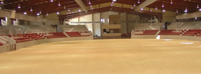Main Arena.jpg
