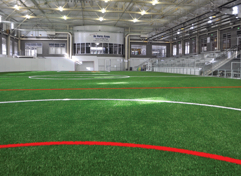 Coppermine Duburns Arena 1