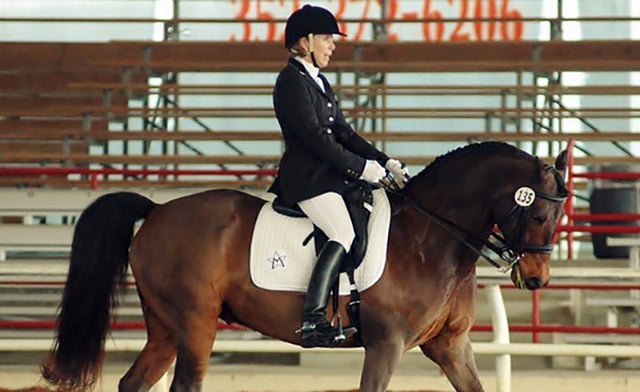 Alachua County Agriculture and Equestrian Center 3