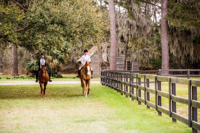 Old Tabby Links on Spring Island8