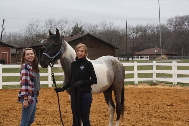 Dallas Equestrian Center4