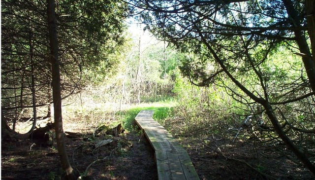 Trapp Farm Nature Preserve 1