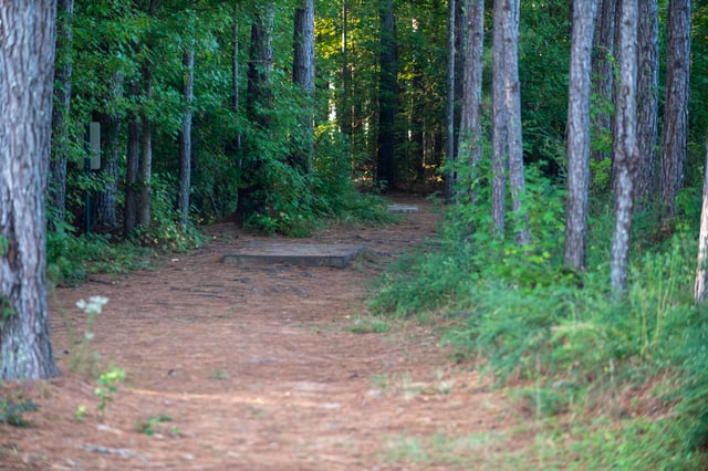Opelika Sportsplex - Tumble Tree Disc Golf  (11)-2784x1856.jpg