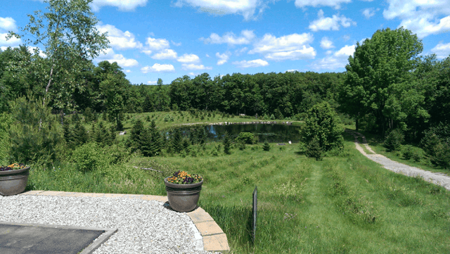 Maple Hill Disc Golf 6