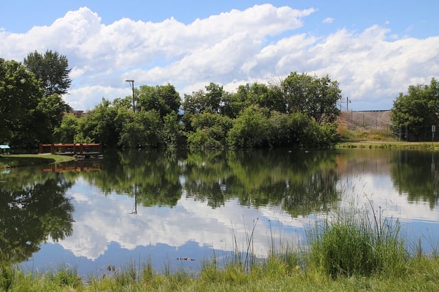 McCormick Park10