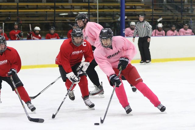 Hartmeyer Ice Arena 5