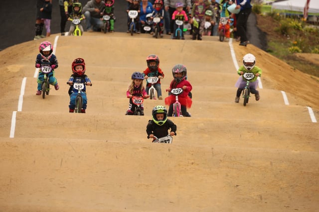large group push bikes.jpg