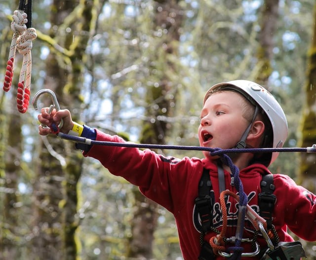 Deep Forest Challenge at Northwest Trek3