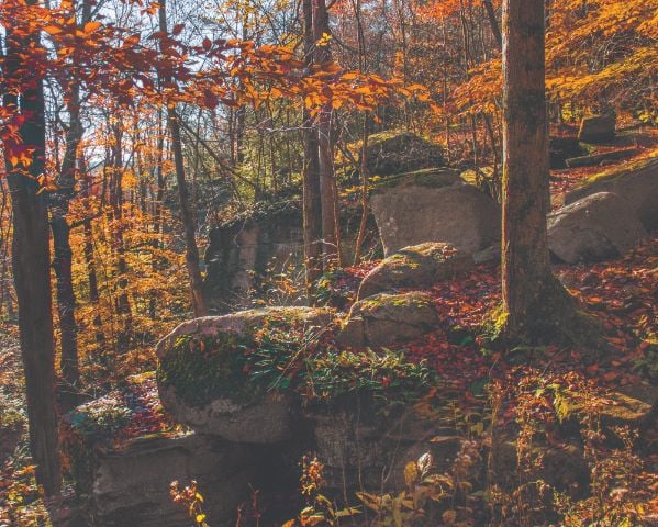 11_2016 Upper Trail Fall.jpg