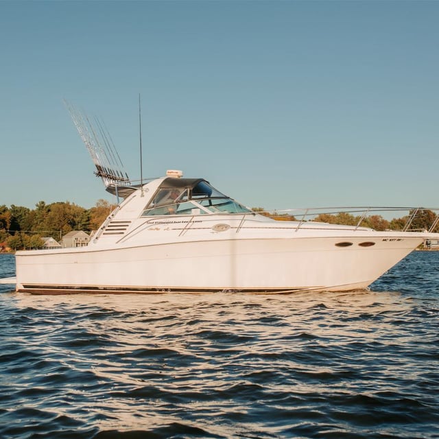 Sufishient Charters 1