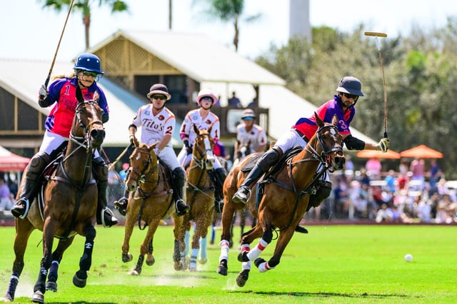 Sarasota Polo Club6