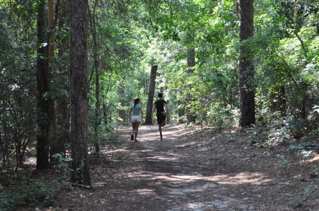 Hitchcock Woods 3