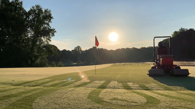 pine lake golf club 2