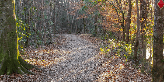 Screen Shot 2024-11-27 at 12.32.13 PM.png