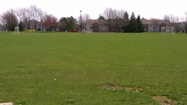 Roy G. Holland Memorial Park6