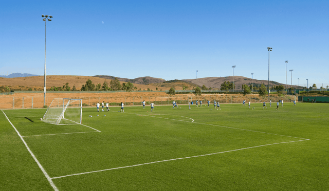 SCC field