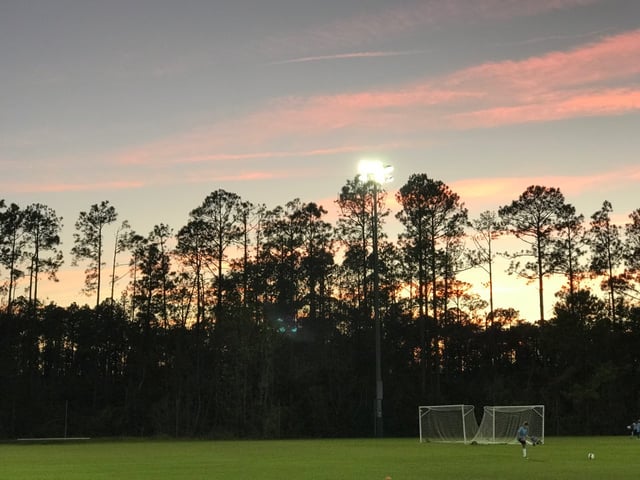 Davis Park5