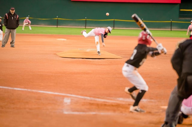 AnyConv.com__Cactus Yards 4