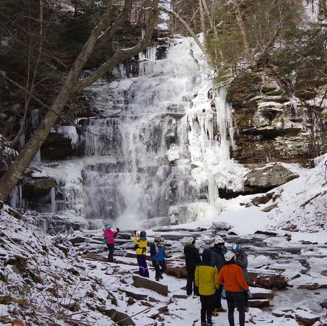 Valley to Summit, LLC 3