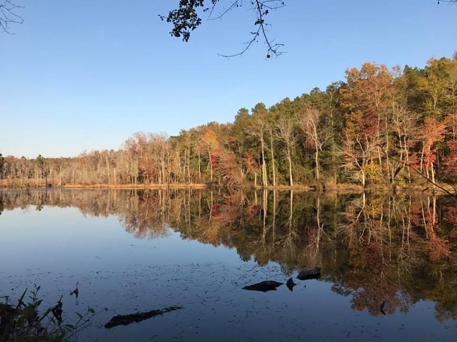 Boyd Pond Park