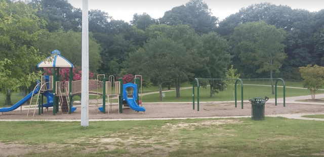 Gum Tree playground