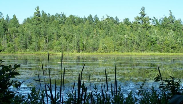 Pyatt Lake Nature Preserve 3