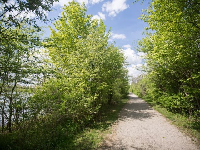 Hawthorn Pond Natural Area6