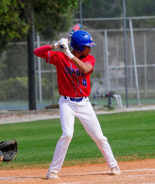 Dematha 3