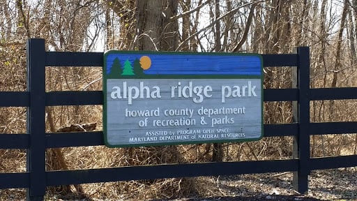 alpha ridge sign