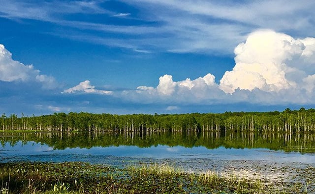 Goodale State Park View