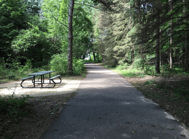 casco township nature