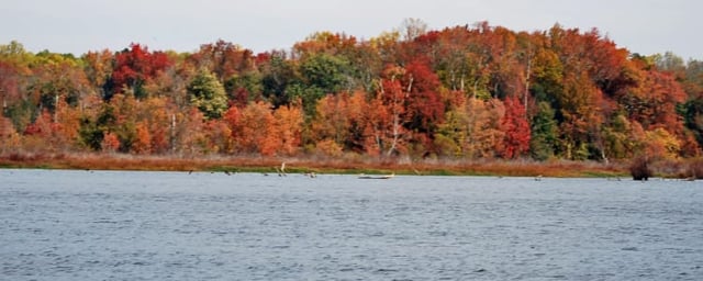 Tuckahoe State Park 3