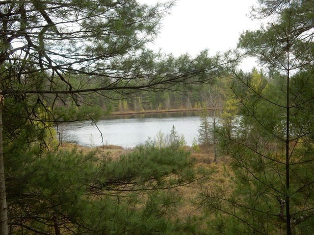 Lost Lake Pathway4
