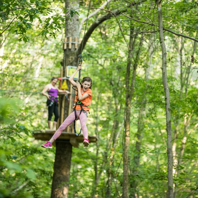 Go Ape Treetop Adventure Course5