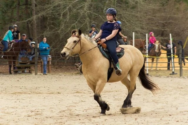 Almost Heaven Stables3