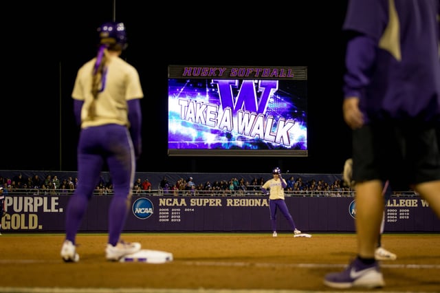 Husky Softball Stadium (2)